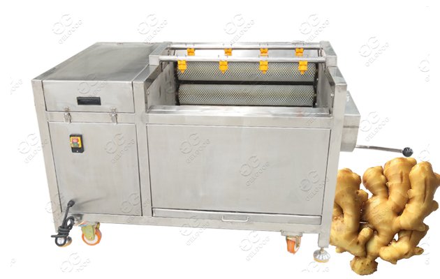 Stainless Steel Turmeric Ginger Washing Machine With Peleling Function