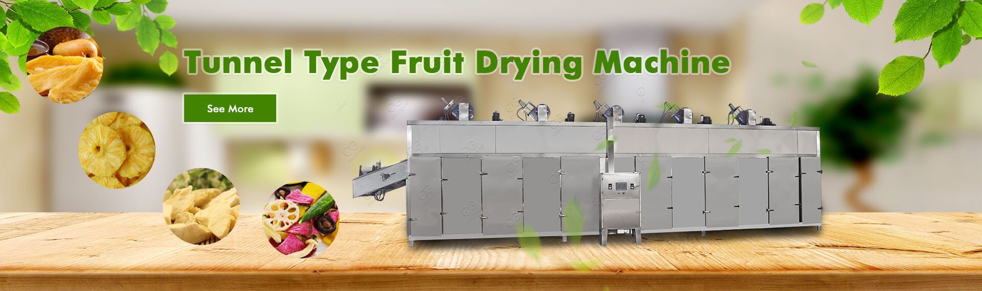 Tunnel Type Fruit Drying Machine