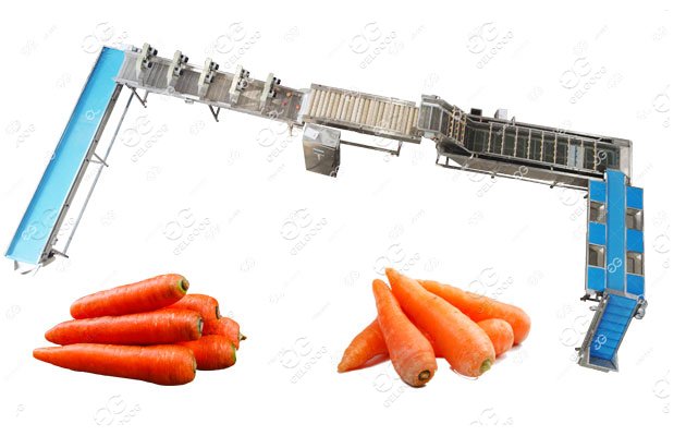 Carrot Field Processing Equipment Carrot Processing Line Flow Chart