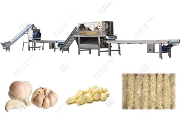 automatic garlic process machine