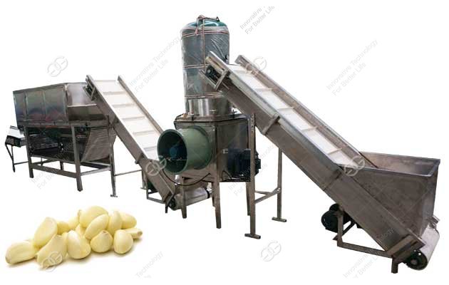 garlic processing project
