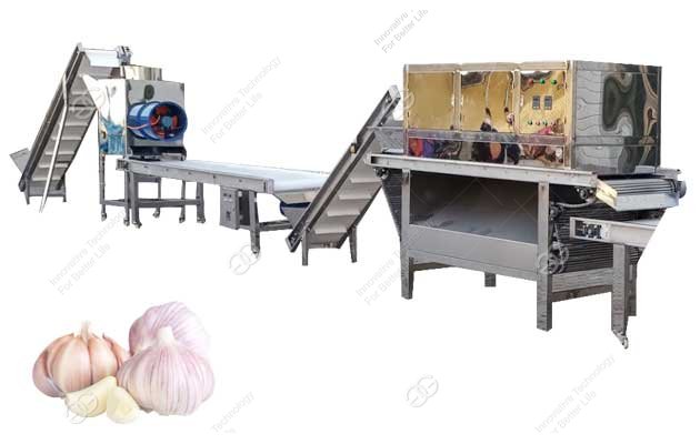 garlic peeling processing machine