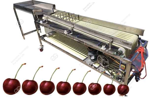 cherry grading machine
