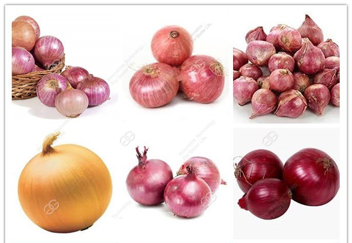 commercial onion peeling machine manufacturer