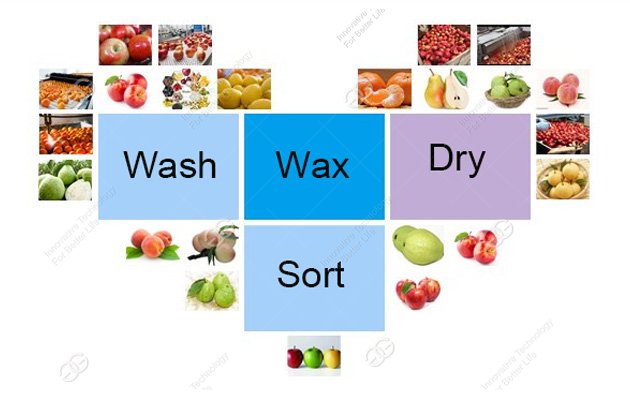 Fruit Washing Waxing Drying Sorting Machine Line For Apple,Orange