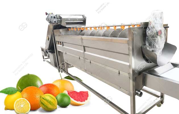Citrus vwashing machine for sale