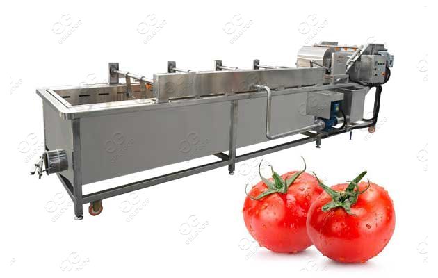 automatic tomato washing machine price