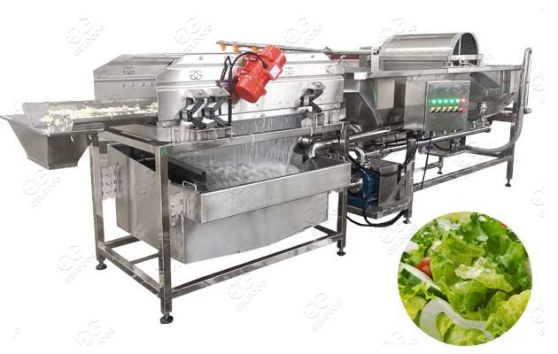 vegetable washing machine manufacturer