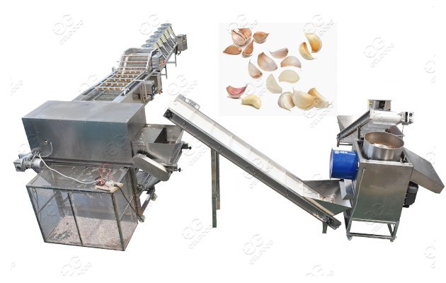 garlic processing line manufacturer