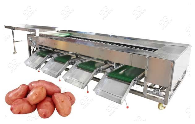potato cleaning and grading machine