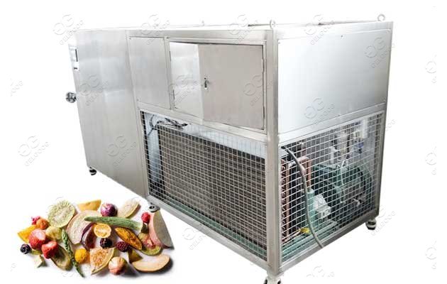 fruit vacuum freeze drying machine