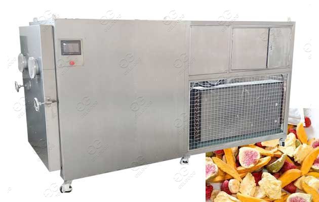 vacuum freeze drying machine price