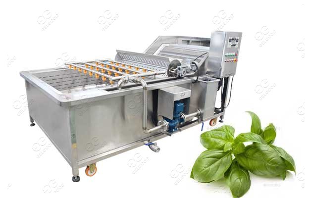 herb leaf cleaning machine