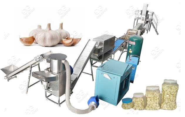 garlic processing machines factory