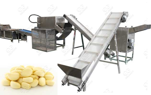 garlic peeling production line