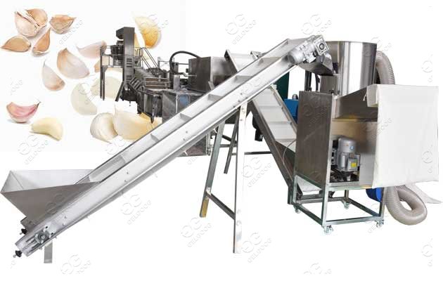 garlic processing equipment for sale
