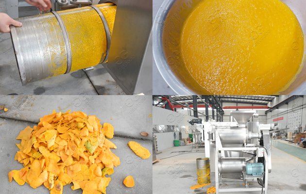 Mango Pulp Processing Unit