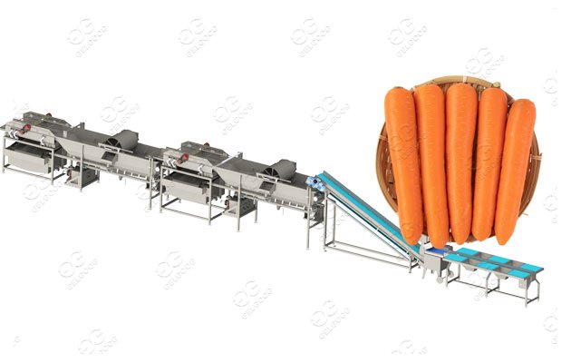 carrot processing line