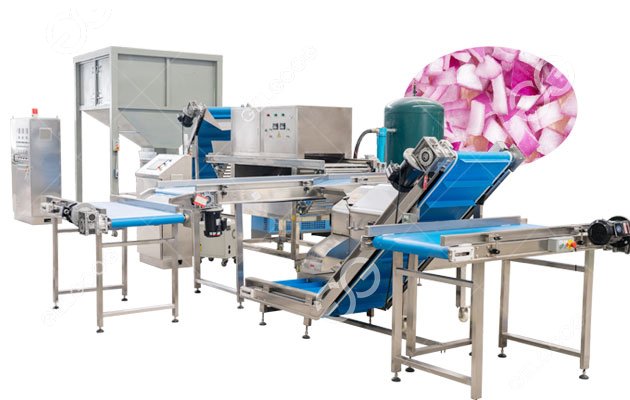 onion processing equipment Iran