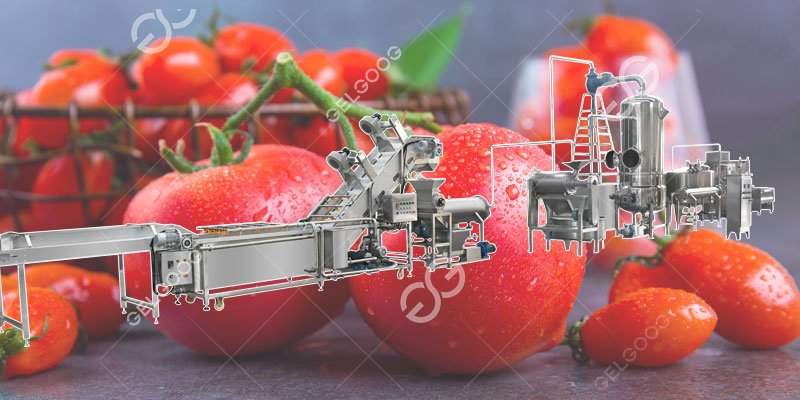 tomato ketchup manufacturing plant price