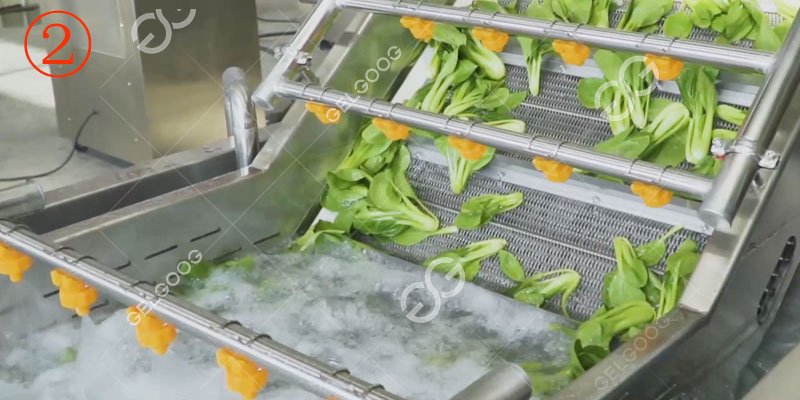automatic lettuce washing machine for sale