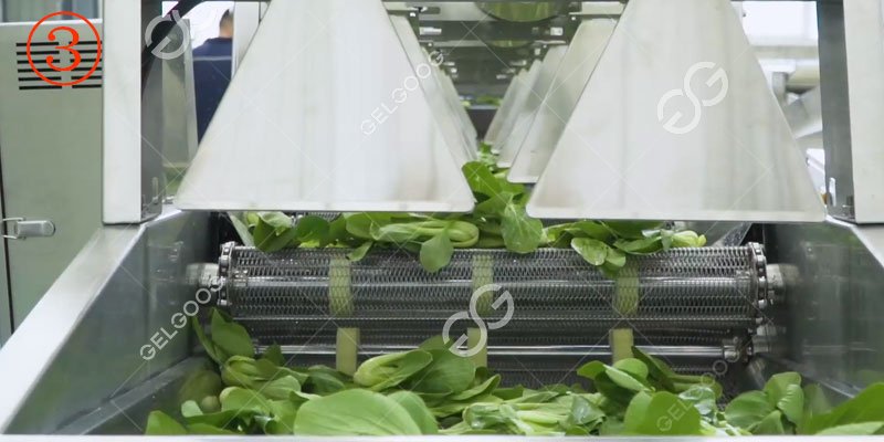 industrial lettuce drying machine price