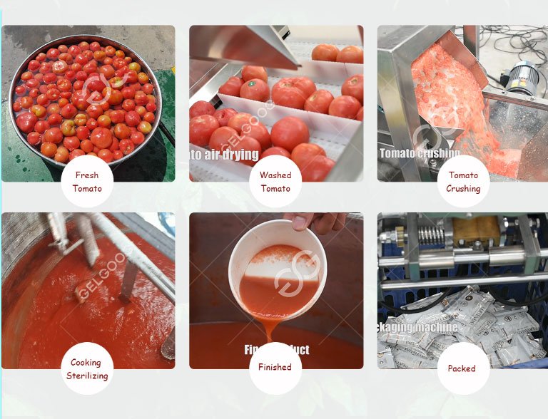 tomato paste manufacturing proces flowchart
