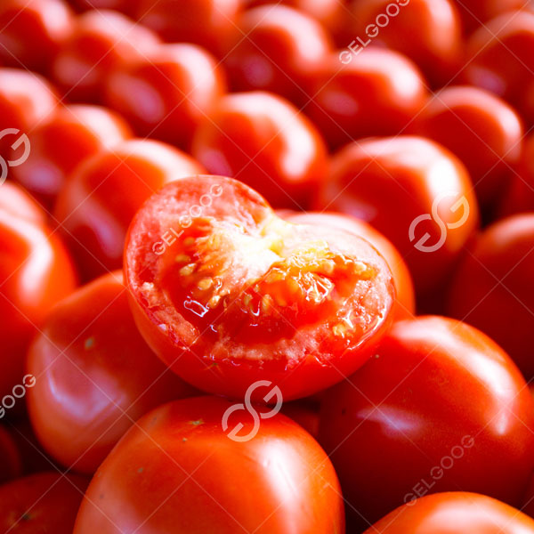 fresh tomato to make tomato sauce