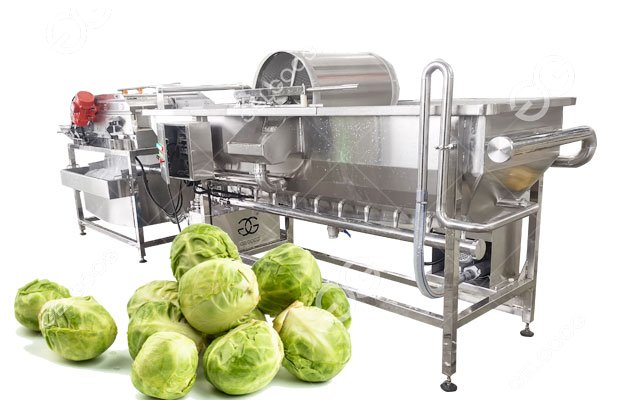 cutted cabbage washing machine cost