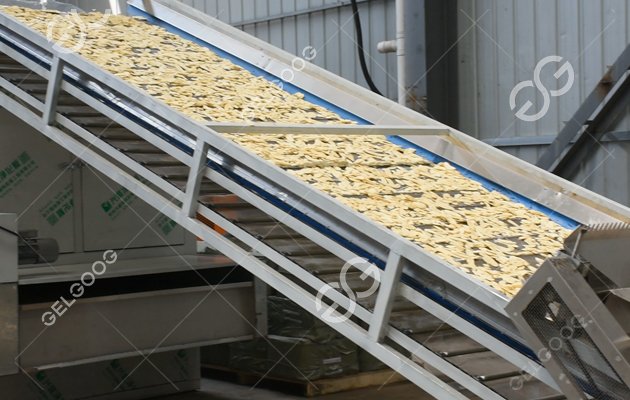 Banana Powder Processing Plant Manufacture