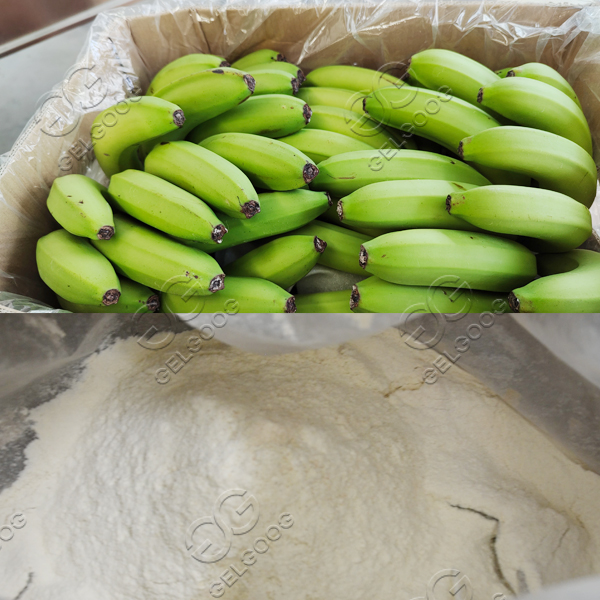 make banana powder commercially