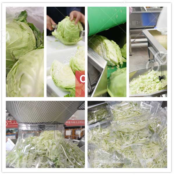 automatic Coleslaw processing machine