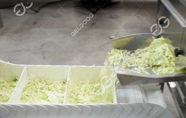 cutted cabbage machine