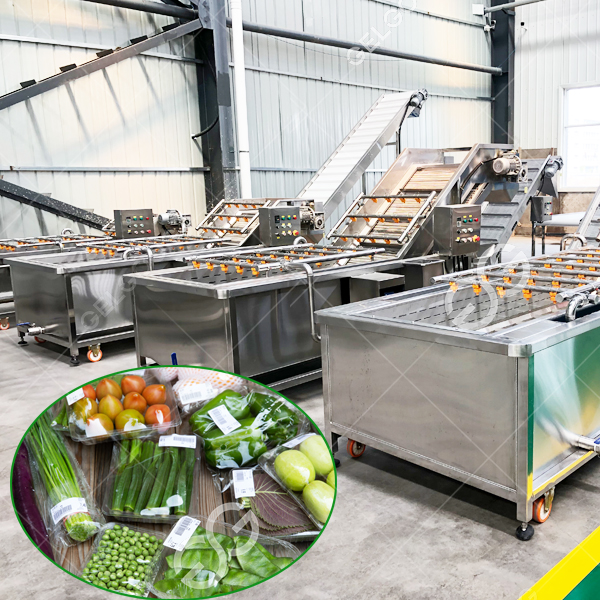 Clean Your Produce with Ease: Discover the Benefits of a Bubble Cleaning Equipment